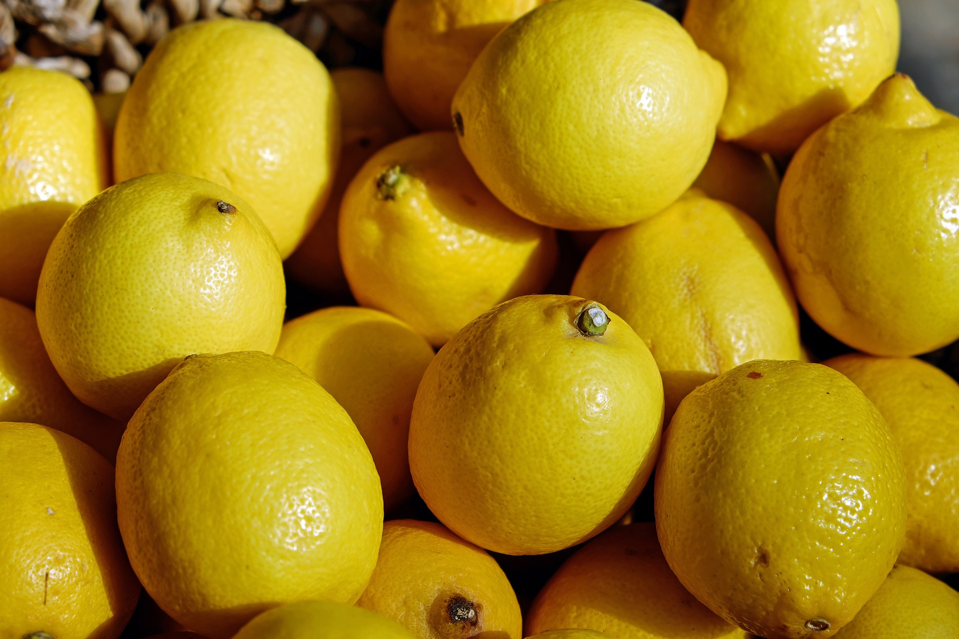 Bio-Zitronen – 7kg Kiste – € 3,90 / kg