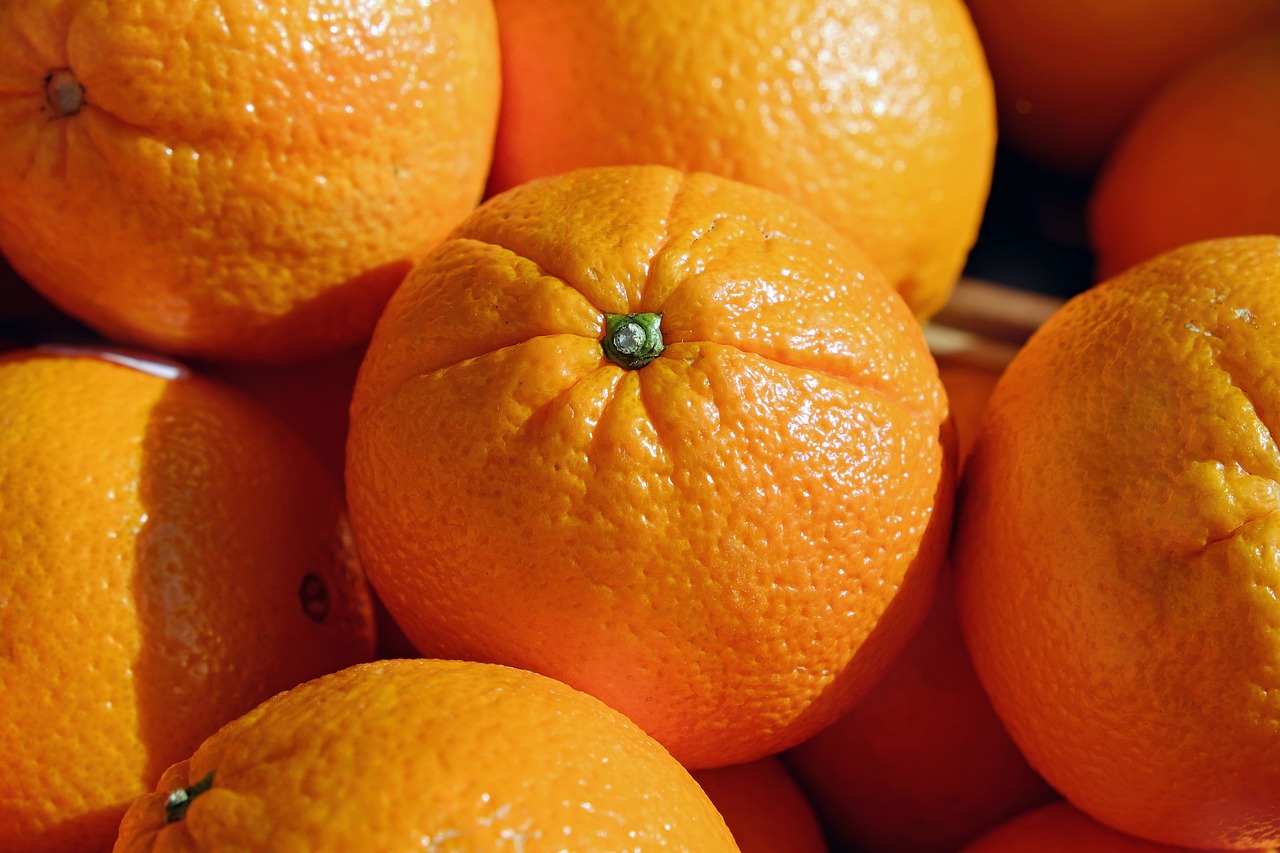 Bio-Orangen – Navel – kg 10 – € 3,30 / kg